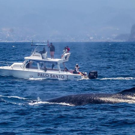 Whale House Hotel Puerto López Exteriér fotografie